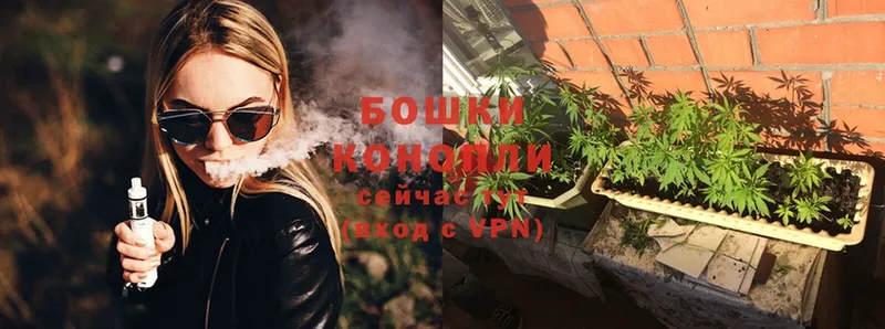 МАРИХУАНА SATIVA & INDICA  кракен маркетплейс  Малоархангельск  как найти наркотики 